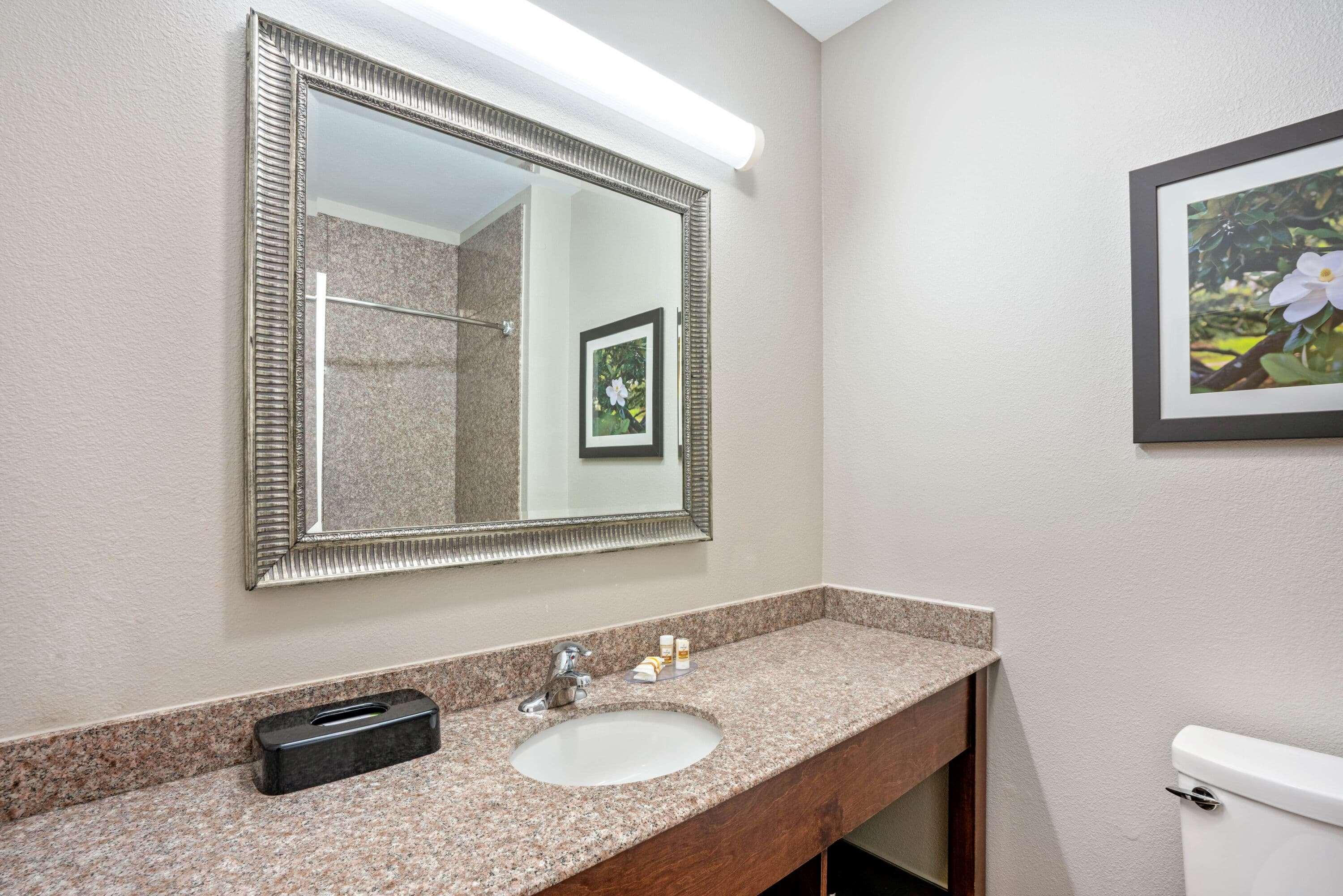 La Quinta By Wyndham Houston - Magnolia Hotell Eksteriør bilde